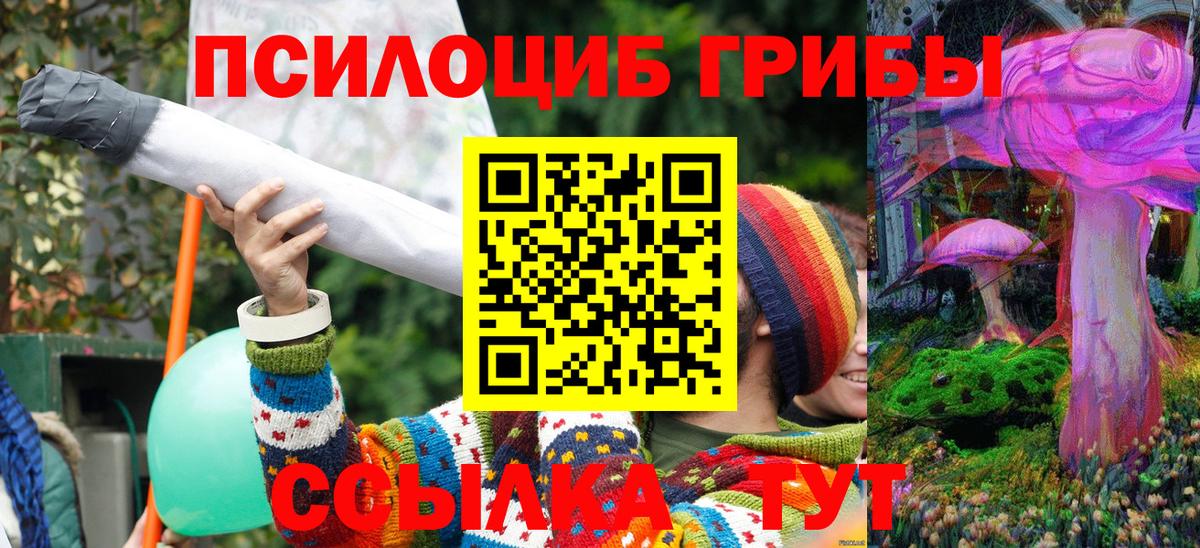 Галлюциногенные грибы MAGIC MUSHROOMS  Раменское 