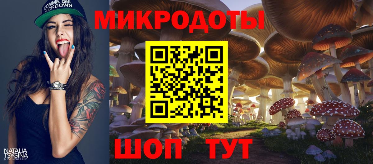 Галлюциногенные грибы Psilocybe Раменское