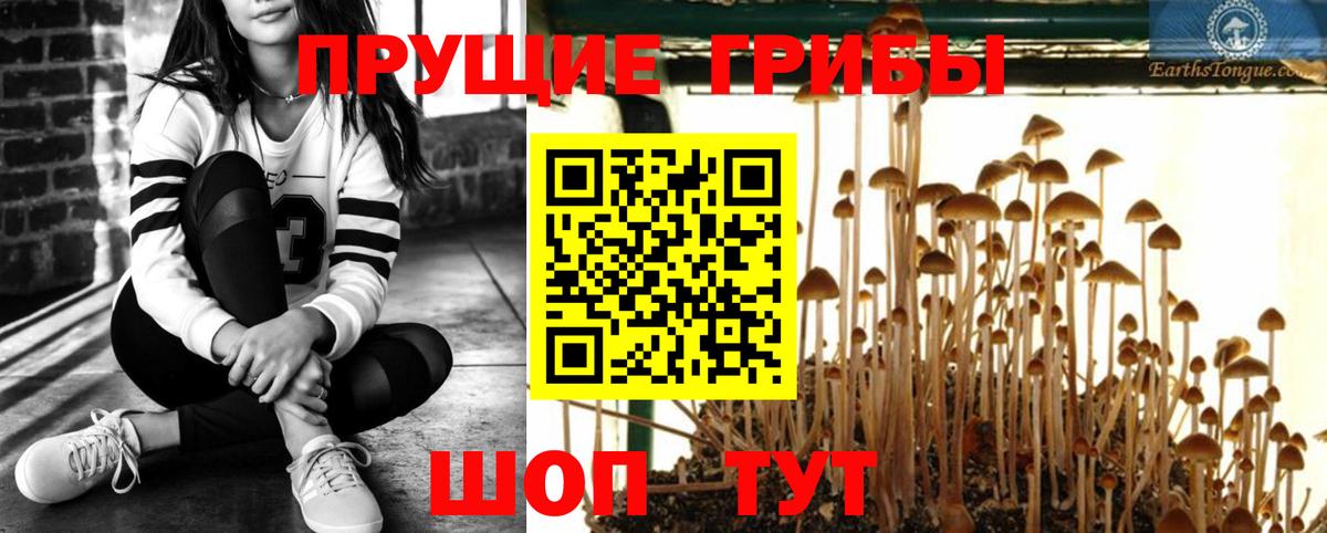 Раменское  Галлюциногенные грибы MAGIC MUSHROOMS  Вход с VPN 